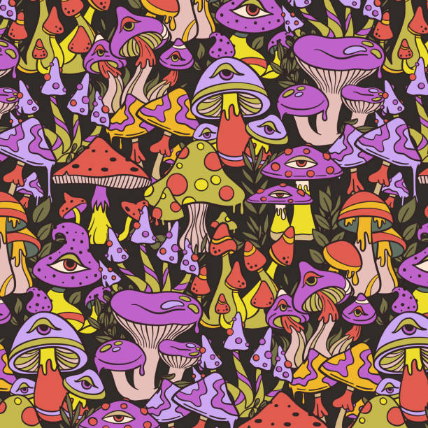E-mail:mathiasbrock111@gmail.com psychedelic mushrooms supplier in Australia.